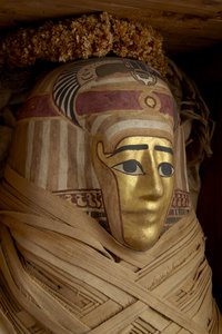 Cofano tolemaico, mummia con maschera dorata e ghirlande floreali